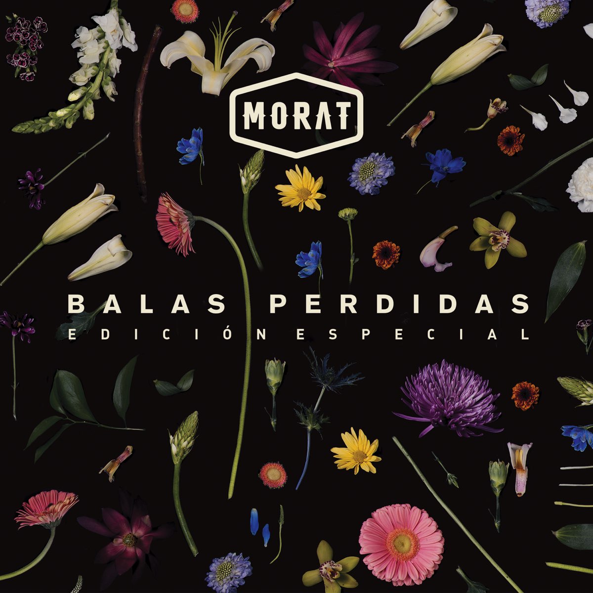 Balas perdidas Edicion Especial (2018)